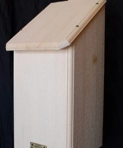 Coveside Bat Mansion