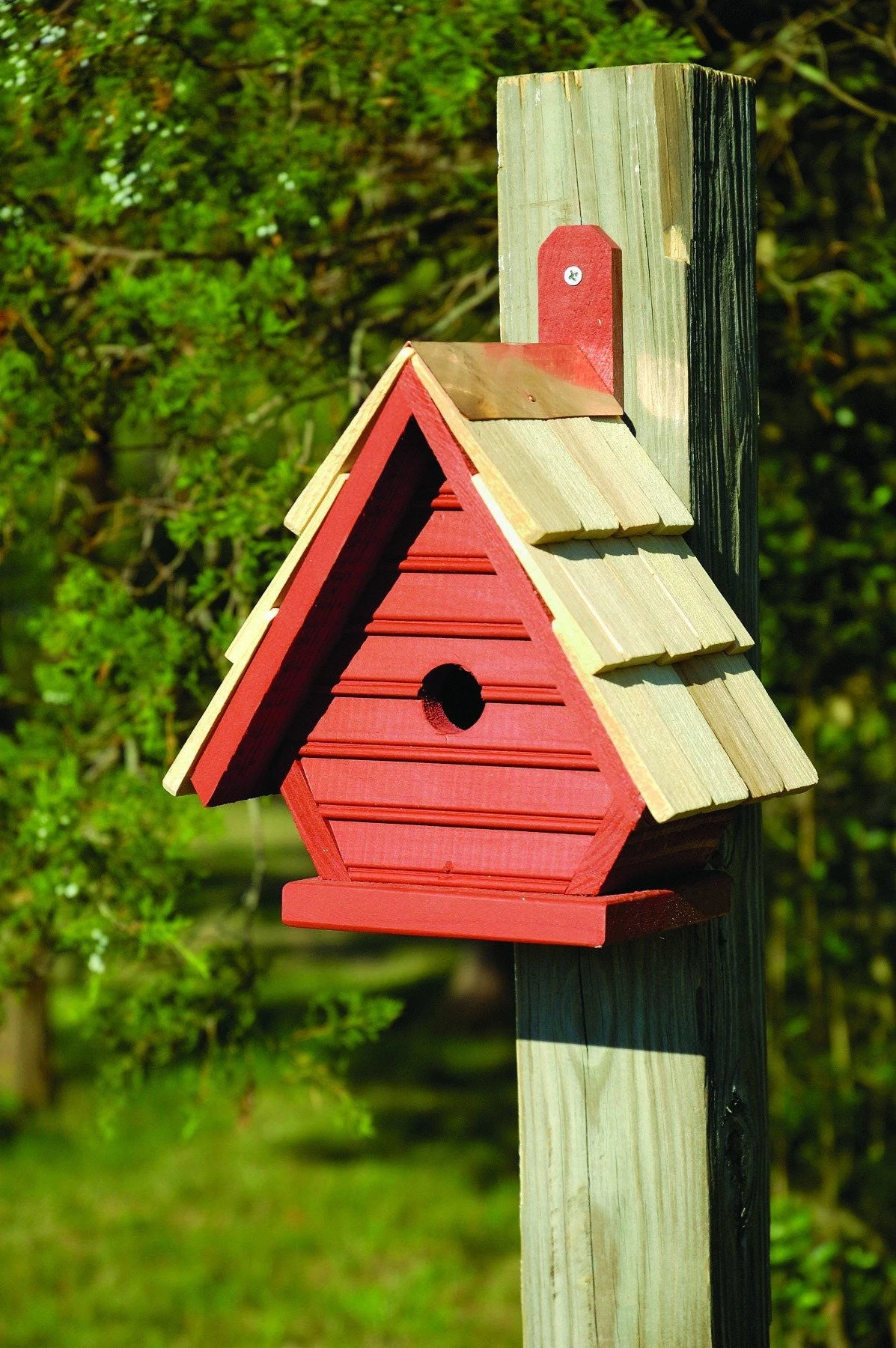 Bird Houses Heartwood Chick Bird House