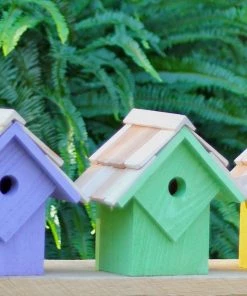 Bird Houses Heartwood Summer Home Bird House, 5pk