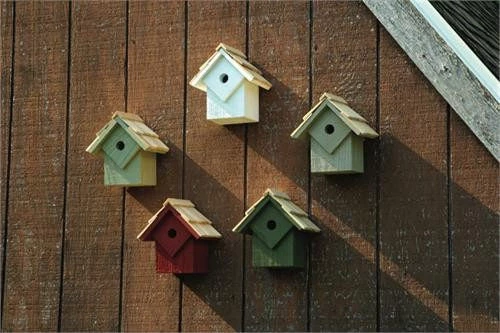 Bird Houses Heartwood Summer Home Bird House, 5pk