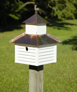 Heartwood Rusty Rooster Bird House Bird Houses