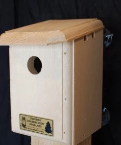 Bird Houses Coveside Window Nesting Box