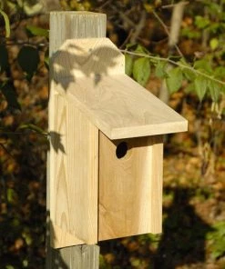Heartwood Western Bluebird Joy Box Bird Houses