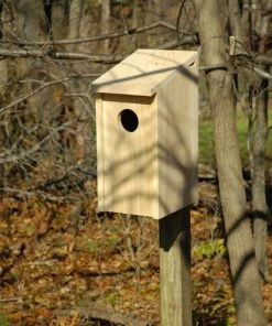 Heartwood Screech Owl Box Bird Houses