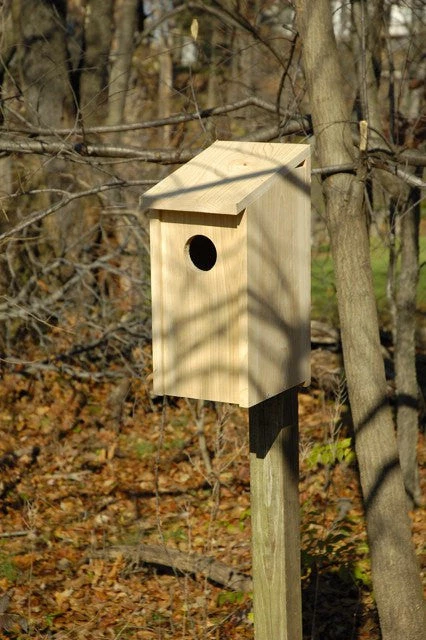 Heartwood Screech Owl Box Bird Houses