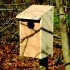 Bird Houses Heartwood Wood Duck Joy Box