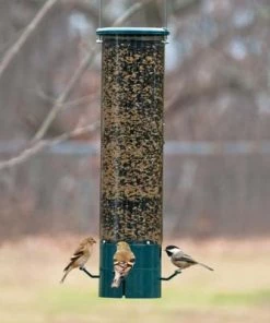 Woodlink / Audubon Bird Feeders The Magnet Squirrel Resistant Feeder