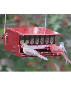 Woodlink / Audubon Bird Feeders Reflective Red Birds Delight Squirrel Resistant Feeder