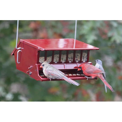 Woodlink / Audubon Bird Feeders Reflective Red Birds Delight Squirrel Resistant Feeder