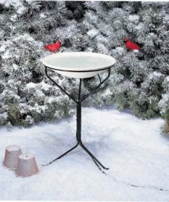 Allied Precision Inc API Heated Oasis Bird Bath W/ Metal Stand