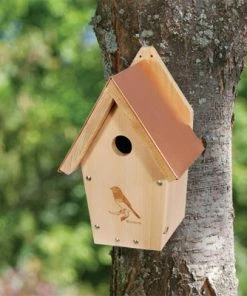 Woodlink / Audubon Woodlink Coppertop Bluebird House
