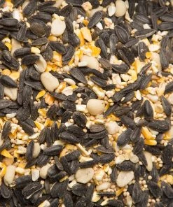 Scarlett Backyard Conservation Mix - Bird Seed Bird Feeder Accessories