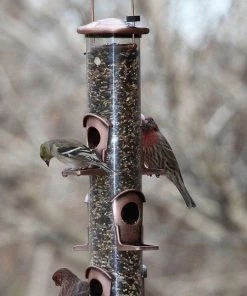 Woodlink / Audubon Bird Feeders Woodlink Coppertop 6 Port Bird Feeder - Sunflower