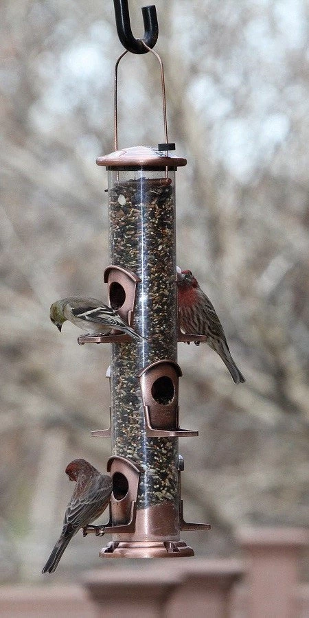 Woodlink / Audubon Bird Feeders Woodlink Coppertop 6 Port Bird Feeder - Sunflower