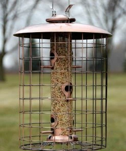 Woodlink / Audubon Woodlink Coppertop Caged Bird Feeder