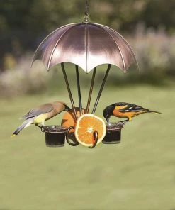 Woodlink / Audubon Woodlink Coppertop Oriole Feeder Bird Feeders