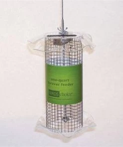 Birds Choice 1 Quart Sunflower Forever Feeder