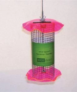 Birds Choice 1 Quart Sunflower Forever Feeder
