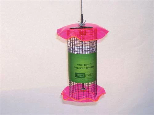 Birds Choice 1 Quart Sunflower Forever Feeder