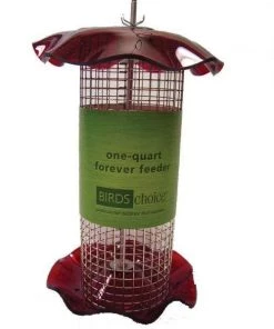 Birds Choice 1 Quart Sunflower Forever Feeder