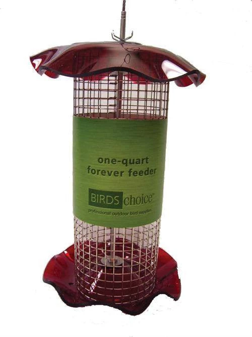 Birds Choice 1 Quart Sunflower Forever Feeder
