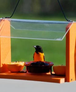 Woodlink / Audubon Woodlink Going Green Recycled Oriole Feeder
