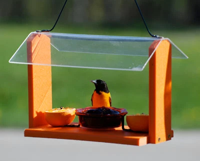 Woodlink / Audubon Woodlink Going Green Recycled Oriole Feeder