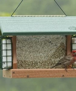 Woodlink / Audubon Bird Feeders Woodlink Going Green Premier Bird Feeder With Suet Cages