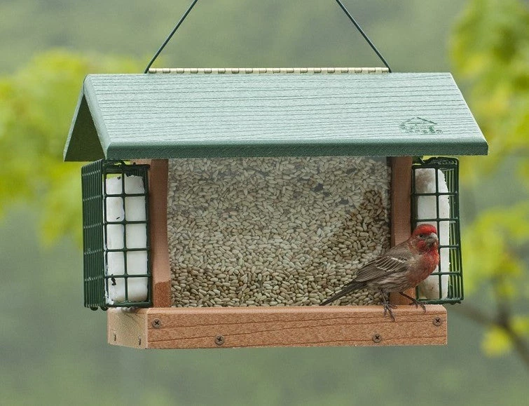 Woodlink / Audubon Bird Feeders Woodlink Going Green Premier Bird Feeder With Suet Cages