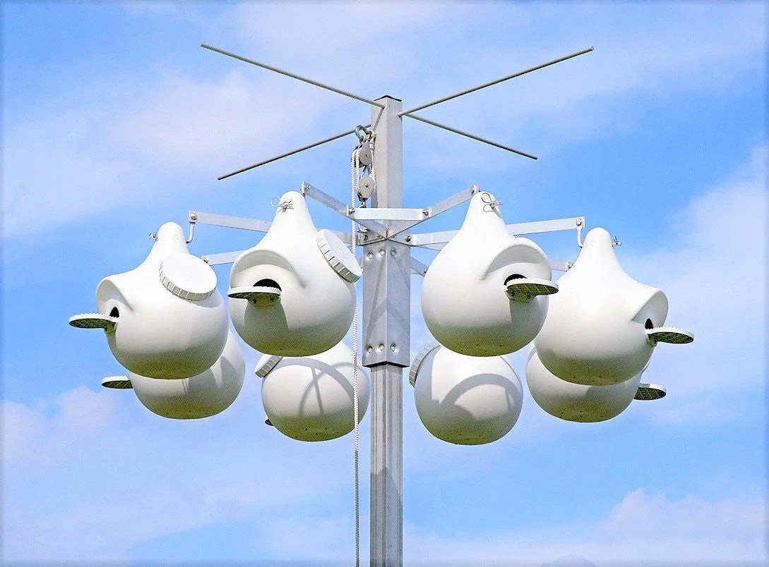 Troyer Purple Martin Houses Purple Martin 8 Rack System Without Gourds