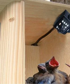 Birdhouse Spy Cam Hawk Eye HD Nature Cam