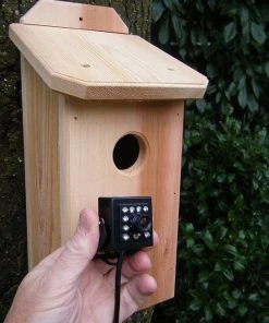 Birdhouse Spy Cam Cedar Birdhouse With HD Camera