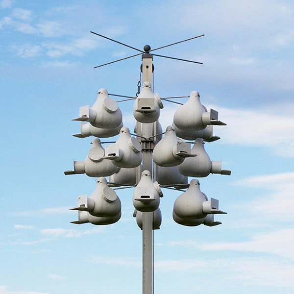 Purple Martin Deluxe Gourd Rack System With 18 Troyer Gourds Purple Martin Houses