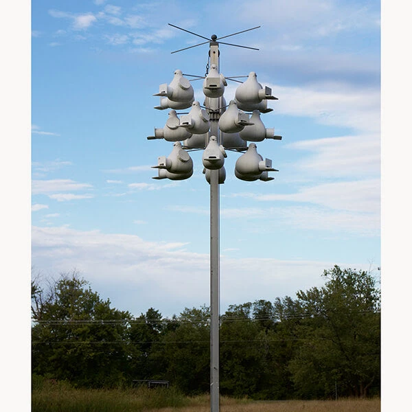 Purple Martin Deluxe Gourd Rack System With 18 Troyer Gourds Purple Martin Houses