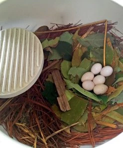 Troyer Purple Martin SuperGourd Purple Martin Houses