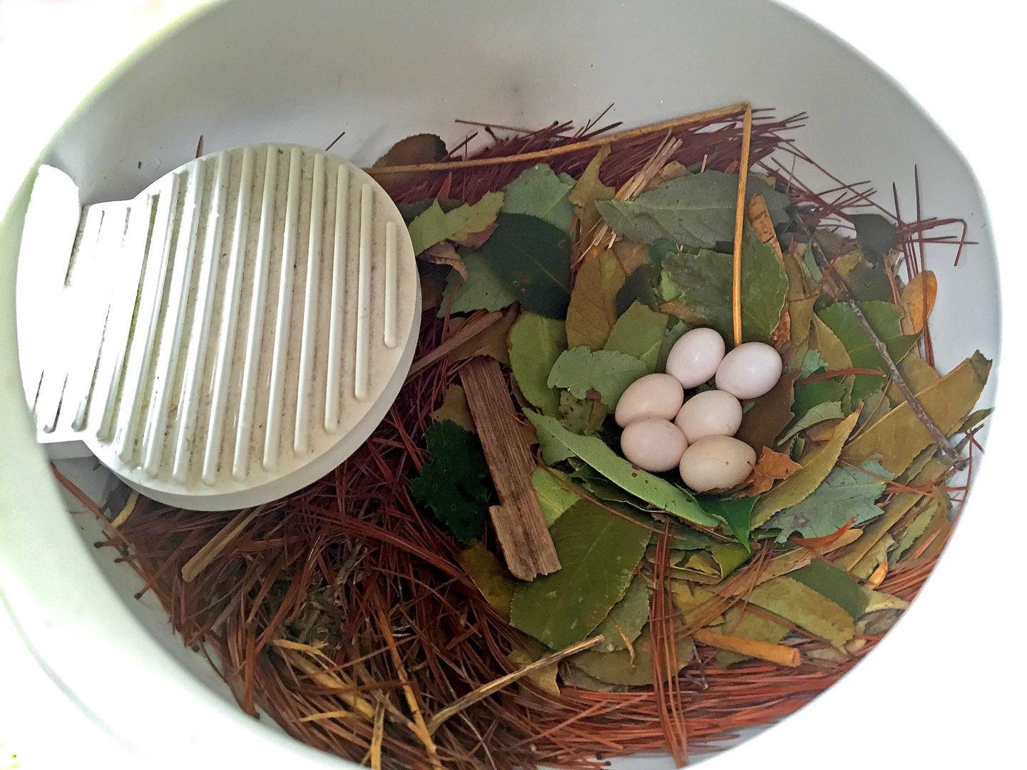 Troyer Bird Houses SuperGourd For Swallows, Wrens And Bluebirds