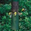 Birds Choice Classic Feeder W/ Baffle And Pole