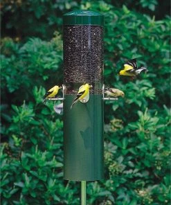 Birds Choice Classic Feeder W/ Baffle And Pole