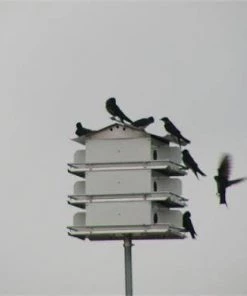 Purple Martin Houses Birds Choice 4 Floor-16 Room Martin House
