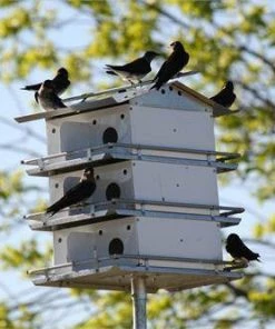 Purple Martin Houses Birds Choice 3 Floor-12 Room Martin House