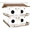 Purple Martin Houses Birds Choice 2 Floor-8 Room