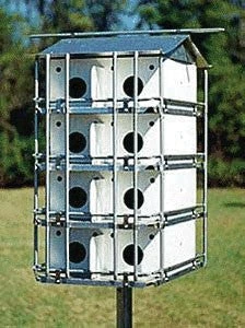 Birds Choice Puple Martin Predator Guard Purple Martin Houses
