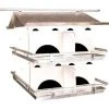 Purple Martin Houses Birds Choice Starling Resistant 2 Floor-8 Room