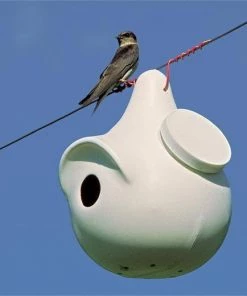 Troyer Purple Martin SuperGourd Purple Martin Houses