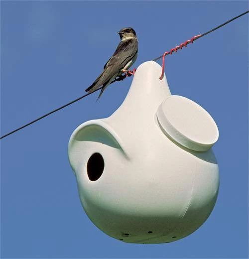 Troyer Bird Houses SuperGourd For Swallows, Wrens And Bluebirds