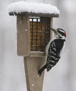 Bird Feeders Birds Choice Recycled Double Cake Suet Feeder