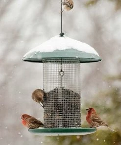 Woodlink / Audubon Bird Feeders Woodlink Steel Magnum Sunflower Bird Feeder
