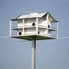 Hilltop Trendsetter Trendsetter 8 Martin House System Purple Martin Houses