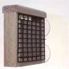Bird Feeders Birds Choice Window Mount Suet Feeder