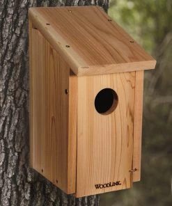 Woodlink / Audubon Woodpecker, Flicker, Kestrel House